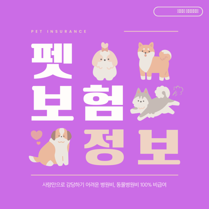 펫보험은 '안전장치' 사랑만으로 감당하기 어려운 병원비, 동물병원비 100% 비급여로 목돈 깨....