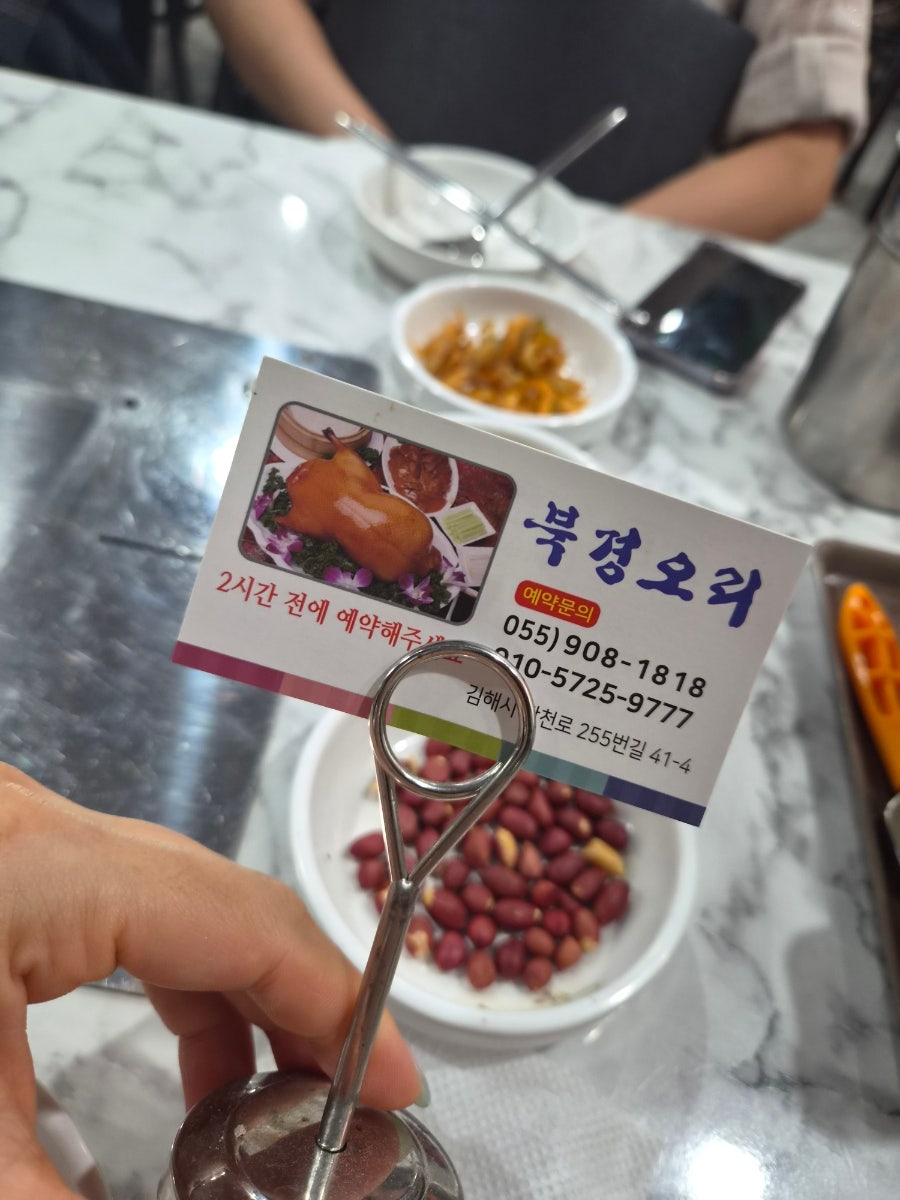 북경오리 사진 2