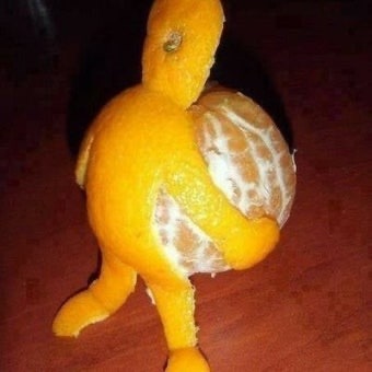 형님 저요 사진 5