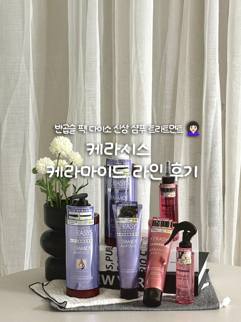 반곱슬 머리가 선택한 다이소신상 케라시스 케라마이드 샴푸 트리트먼트 추천