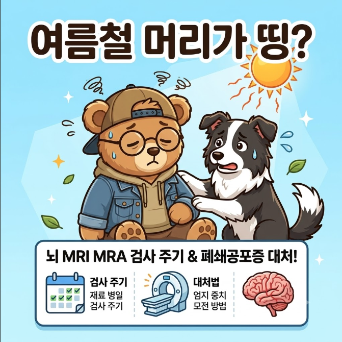 "머리가 띵하고 어지럽다면?" 여름철 필수 뇌 MRI MRA 검사 주기 및 폐쇄공포증 대처 수칙 ✨