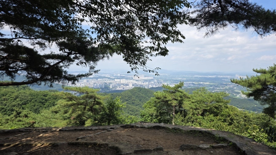 망산 사진 4