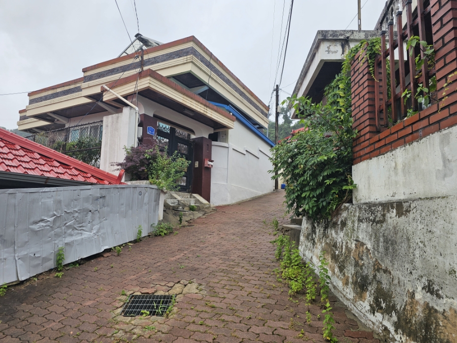 돌담 사진 5