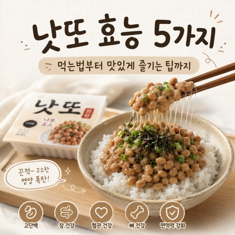낫또 효능 5가지 먹는법부터 맛있게 즐기는 팁까지
