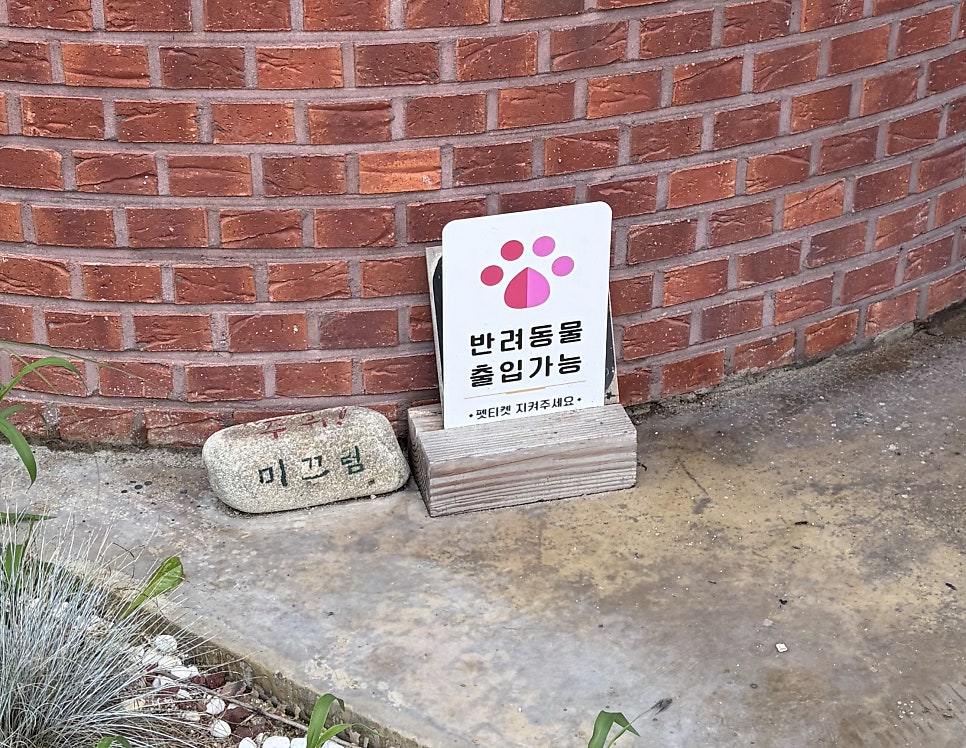 페스토 사진 6