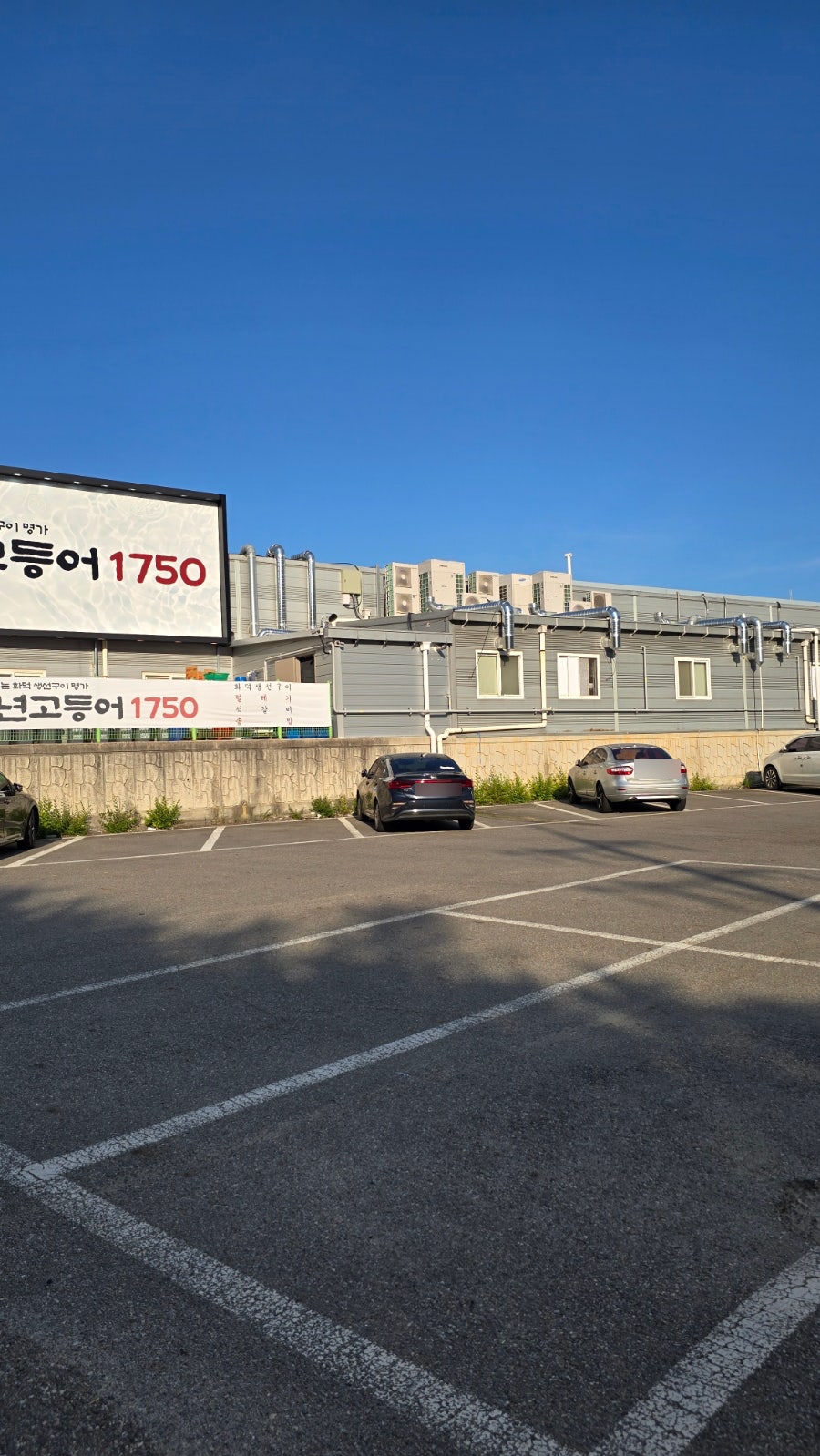 백년고등어1750 신동탄직영점 사진 5
