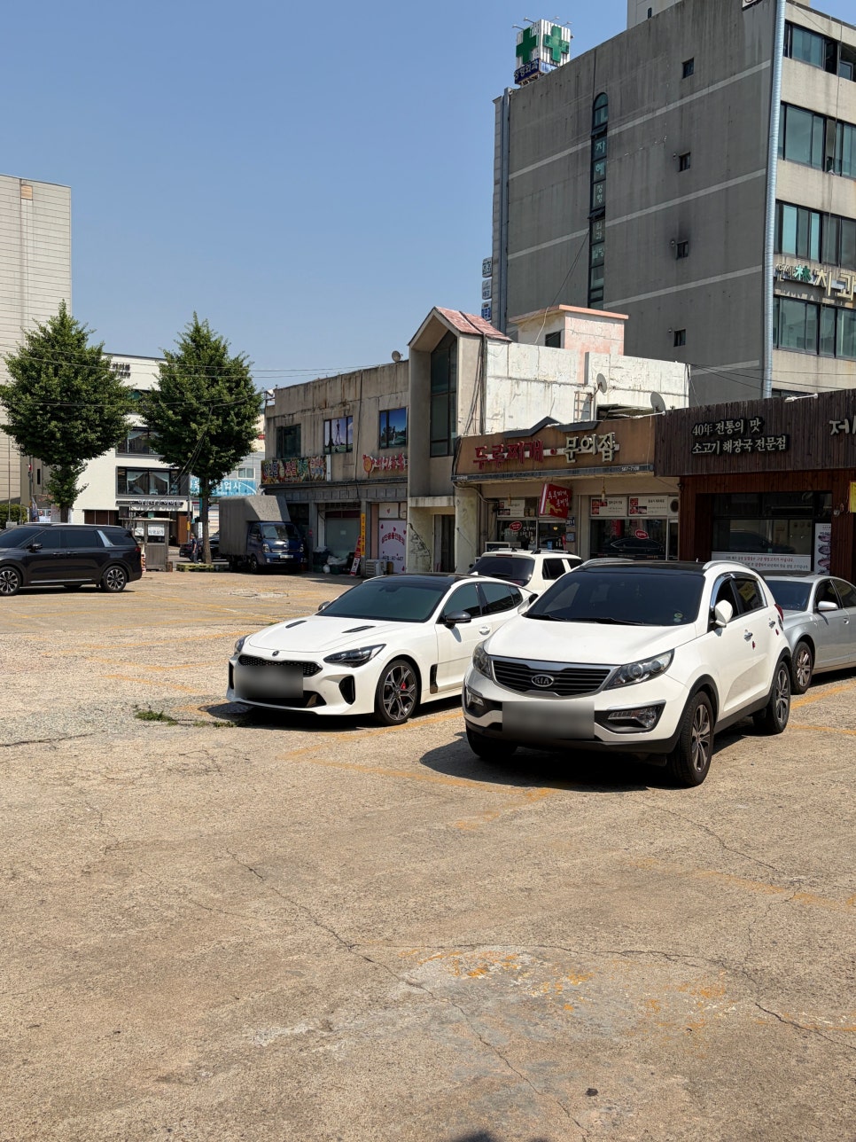 석모도밴댕이회무침 사진 2