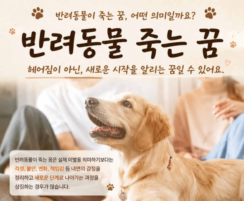 반려동물 죽는 꿈 해몽! 강아지·고양이 죽는 꿈 뜻과 상황별 꿈해몽 총정리