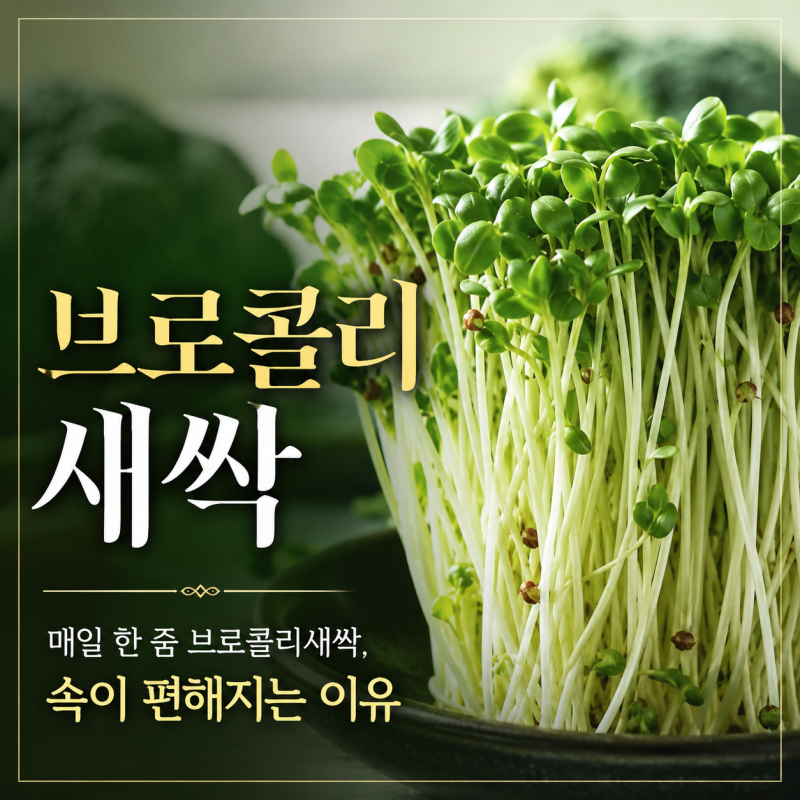 브로콜리새싹 효능 2배 끌어올리는 '이것' 함께 먹는 최고 궁합