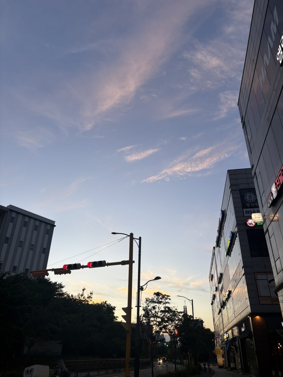 진달래양꼬치 도화점 사진 2