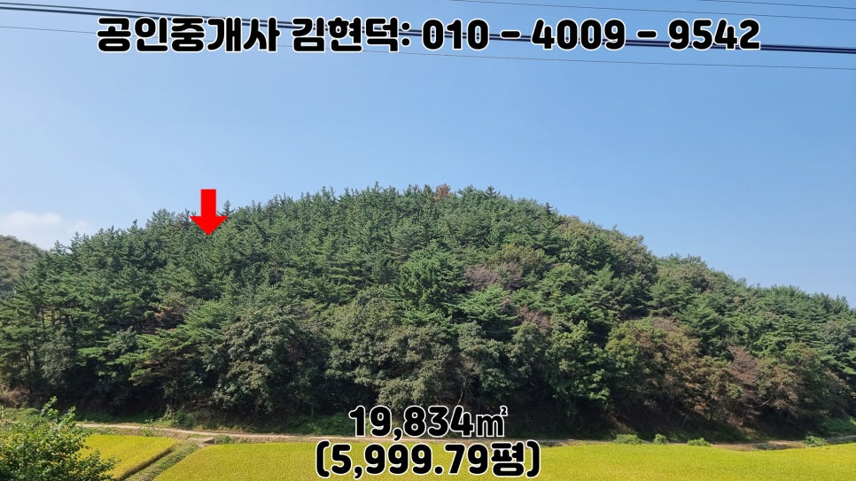 산골 사진 5