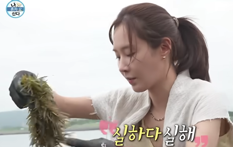 소녀시대 유리 나이 제주도 연세 제주살이 제주도집 동네 중고거래 나혼산 인스타 & 프로필