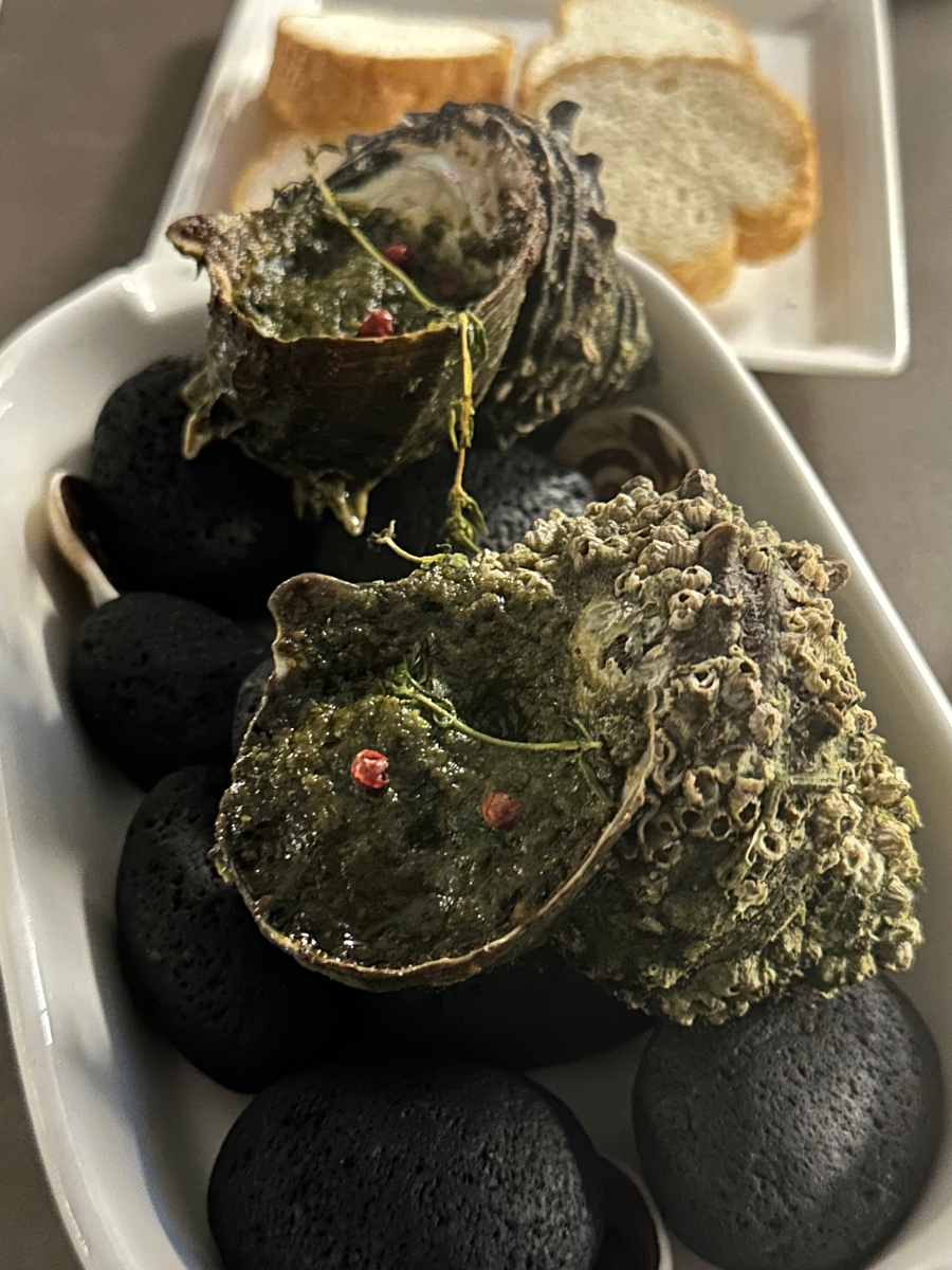 바이브 사진 5