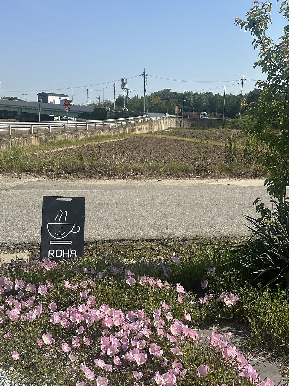 로하 사진 2