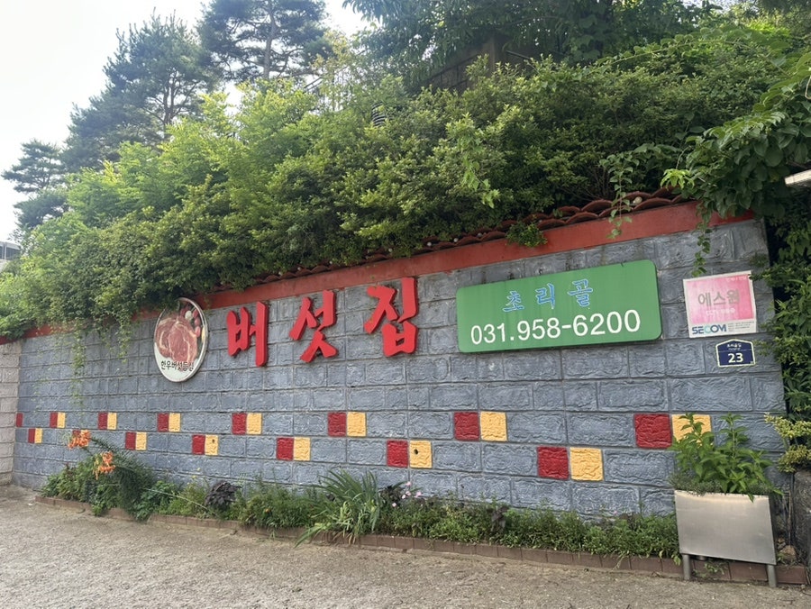버섯집초리골 사진 1