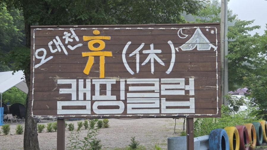 반갑다창문밖고양이 사진 2