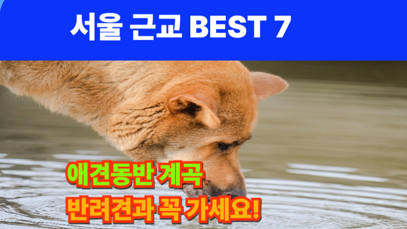 계곡애견쉼터 사진 2