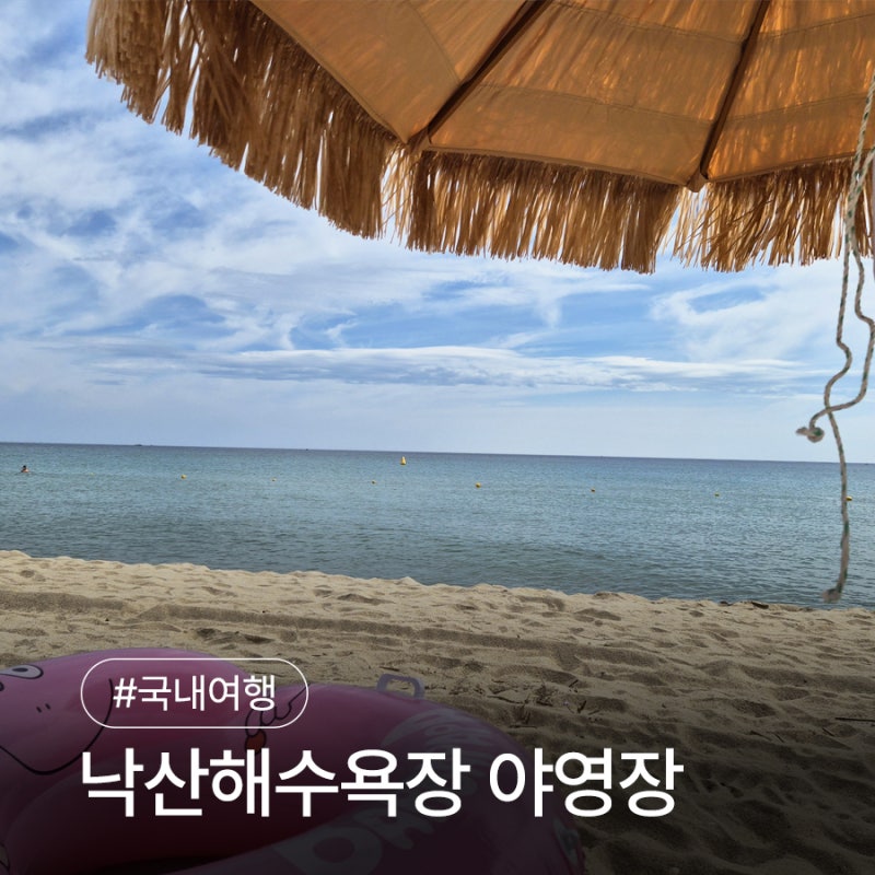 낙산해수욕장 개장 낙산해변야영장 가격 파라솔 대여 가격