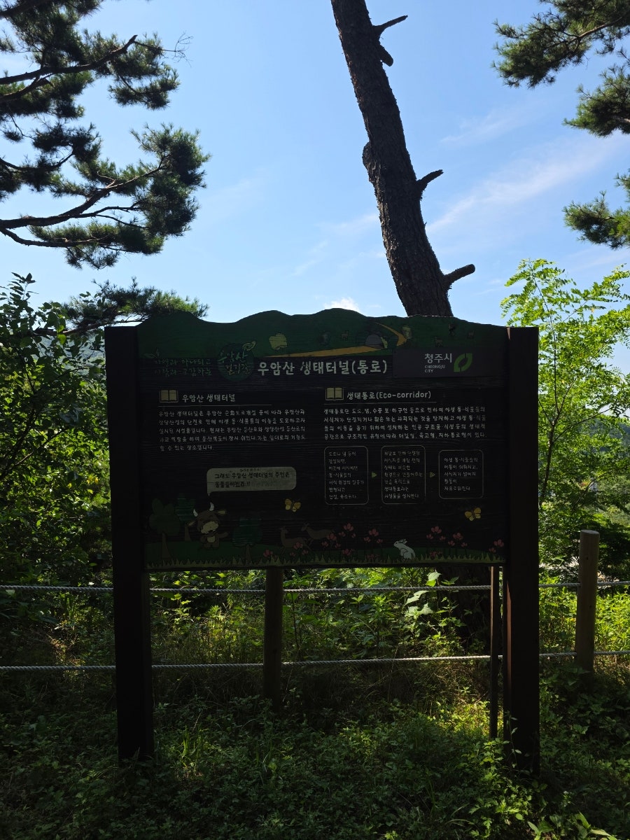 망산 사진 2