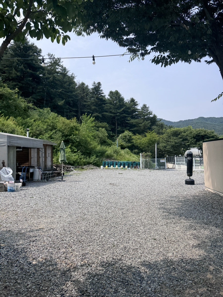 더예쁘게 사진 3