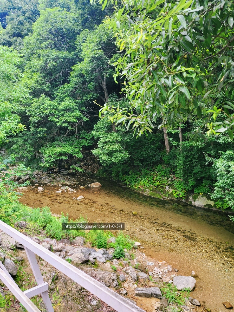 용추계곡유원지펜션 사진 4