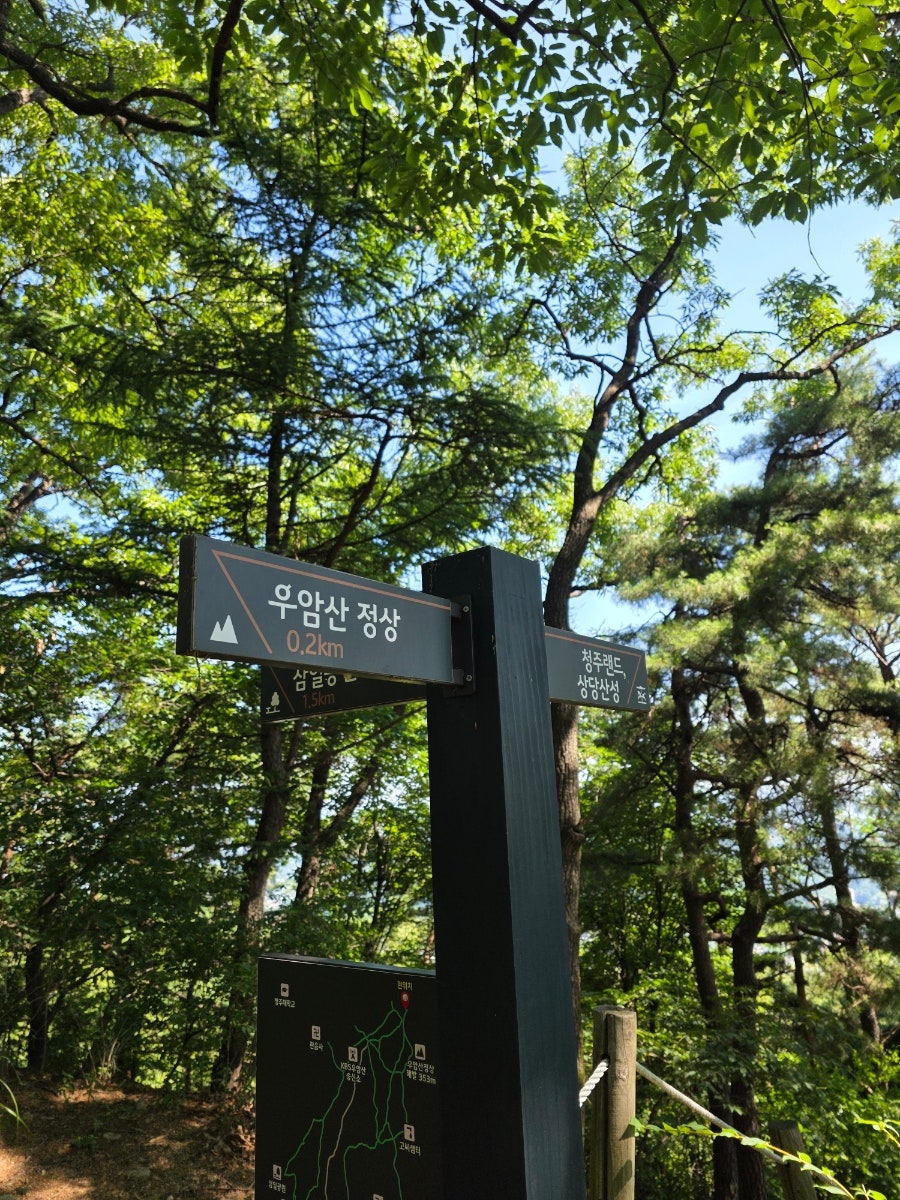 망산 사진 1