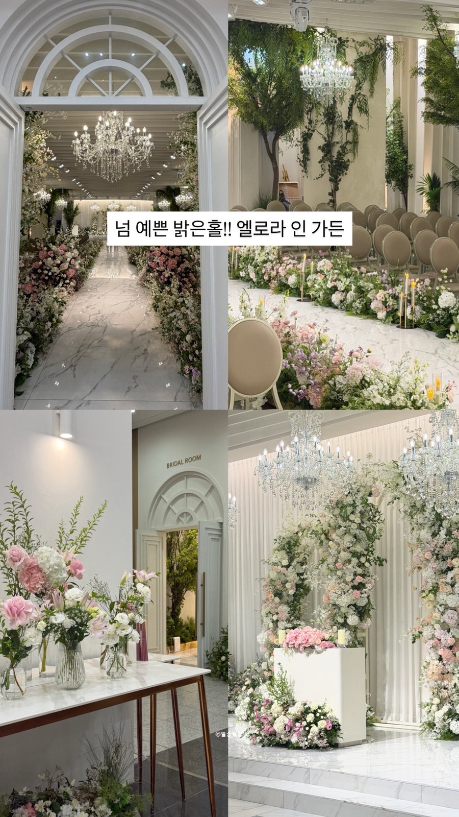 엘로라인가든 사진 1