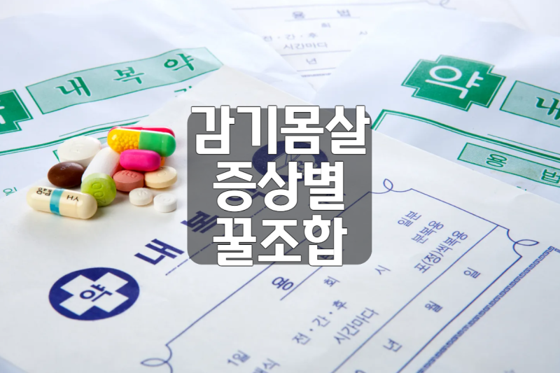 증상별 약국 감기약 추천 몸살, 목, 코 직빵 꿀조합 BEST