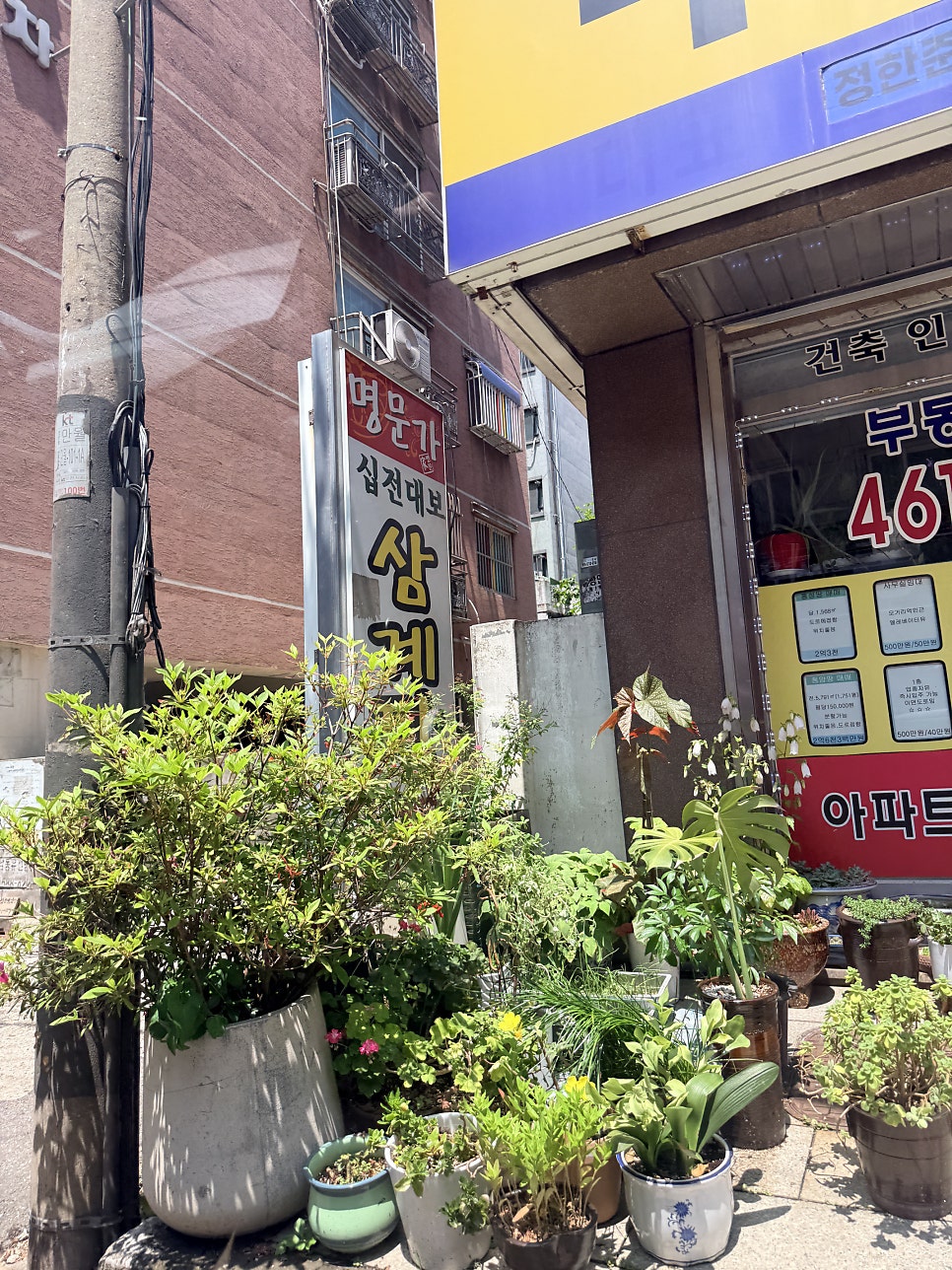 사랑채 사진 2