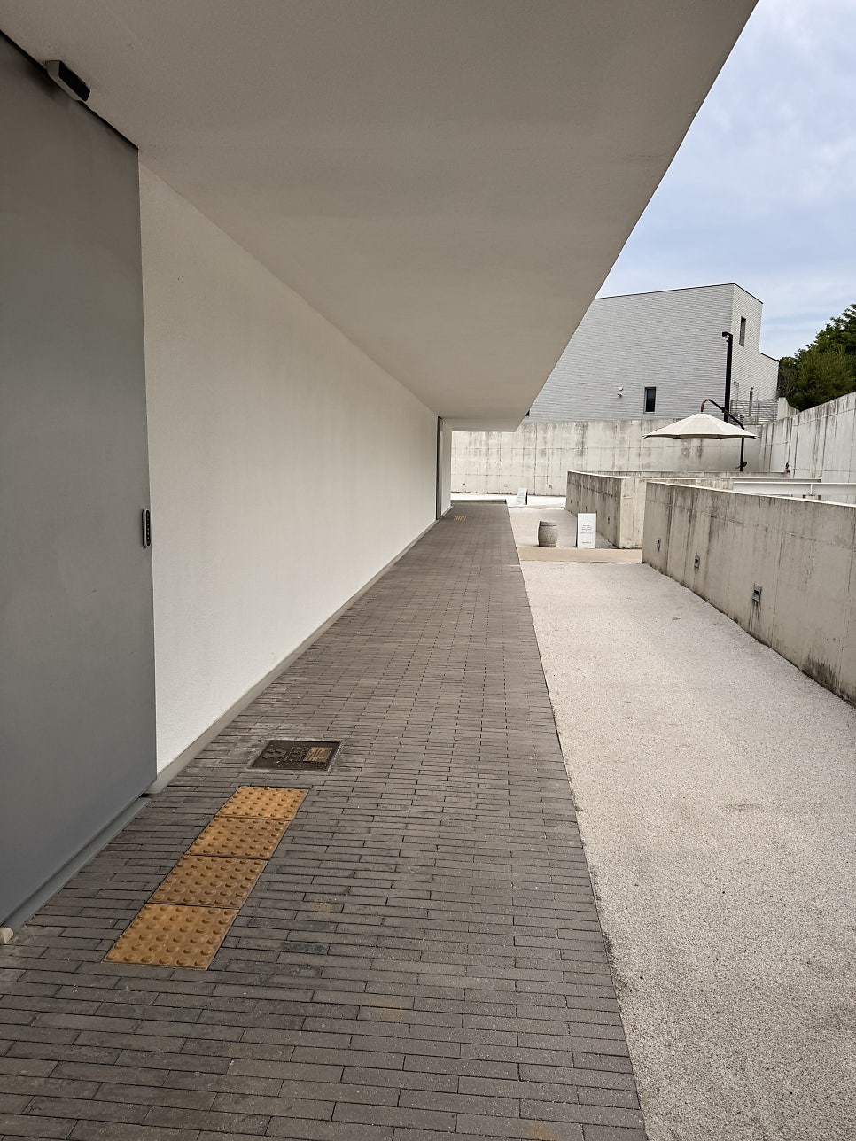 바하리야 사진 6