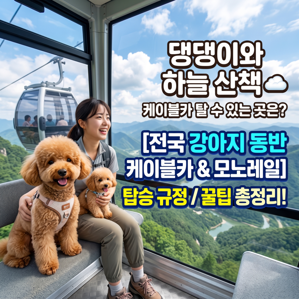 춘천삼악산호수케이블카 사진 1