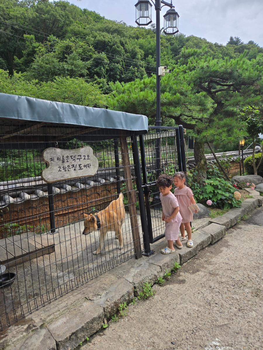 토담골 사진 5