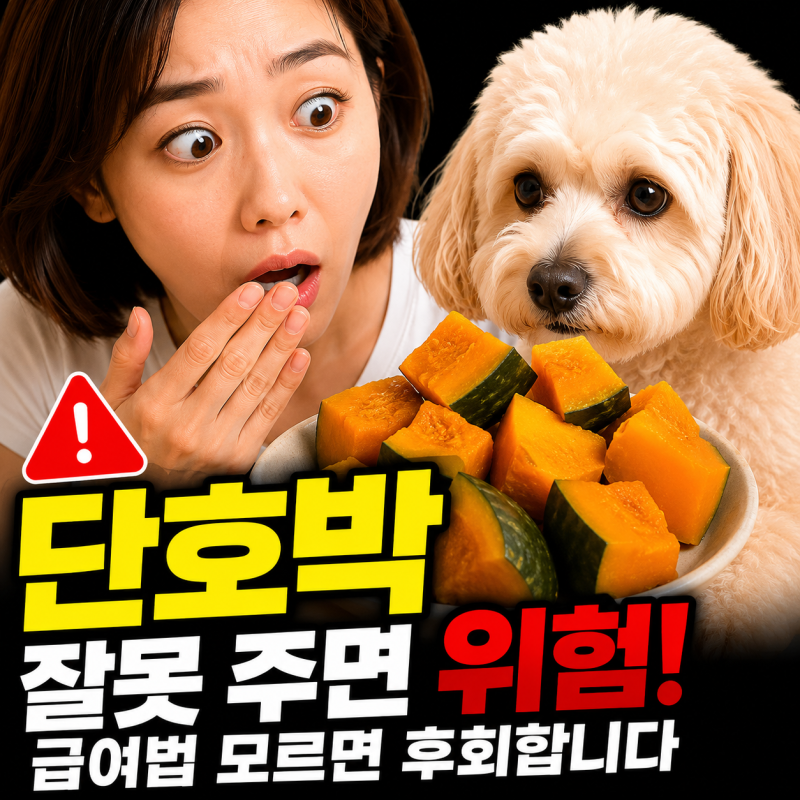 강아지 단호박 호박 수제간식 애견간식 급여법