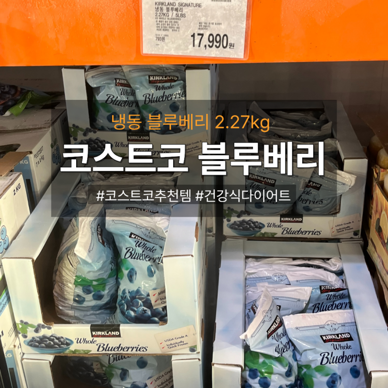 [코스트코 추천템] 10년째 쟁여두는 커클랜드 냉동블루베리 내돈내산 칼로리 & 여름철 장보기....