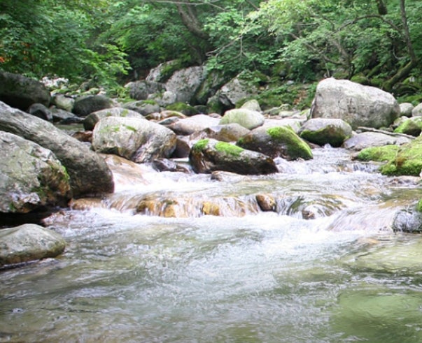 화악산풍경 사진 5