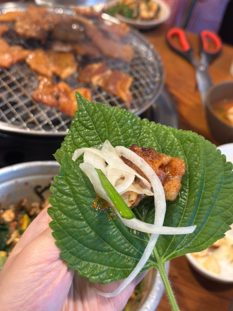 홍천애견동반식당 양지말화로구이 내돈내산 비추후기