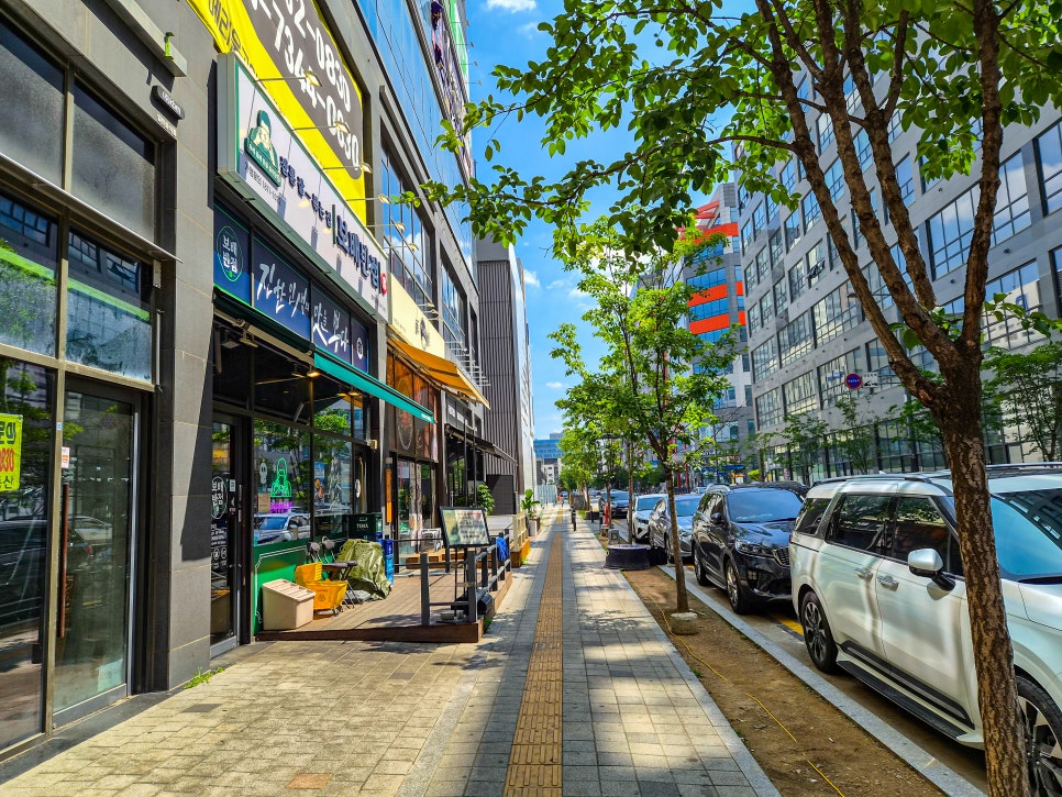 보배 사진 2