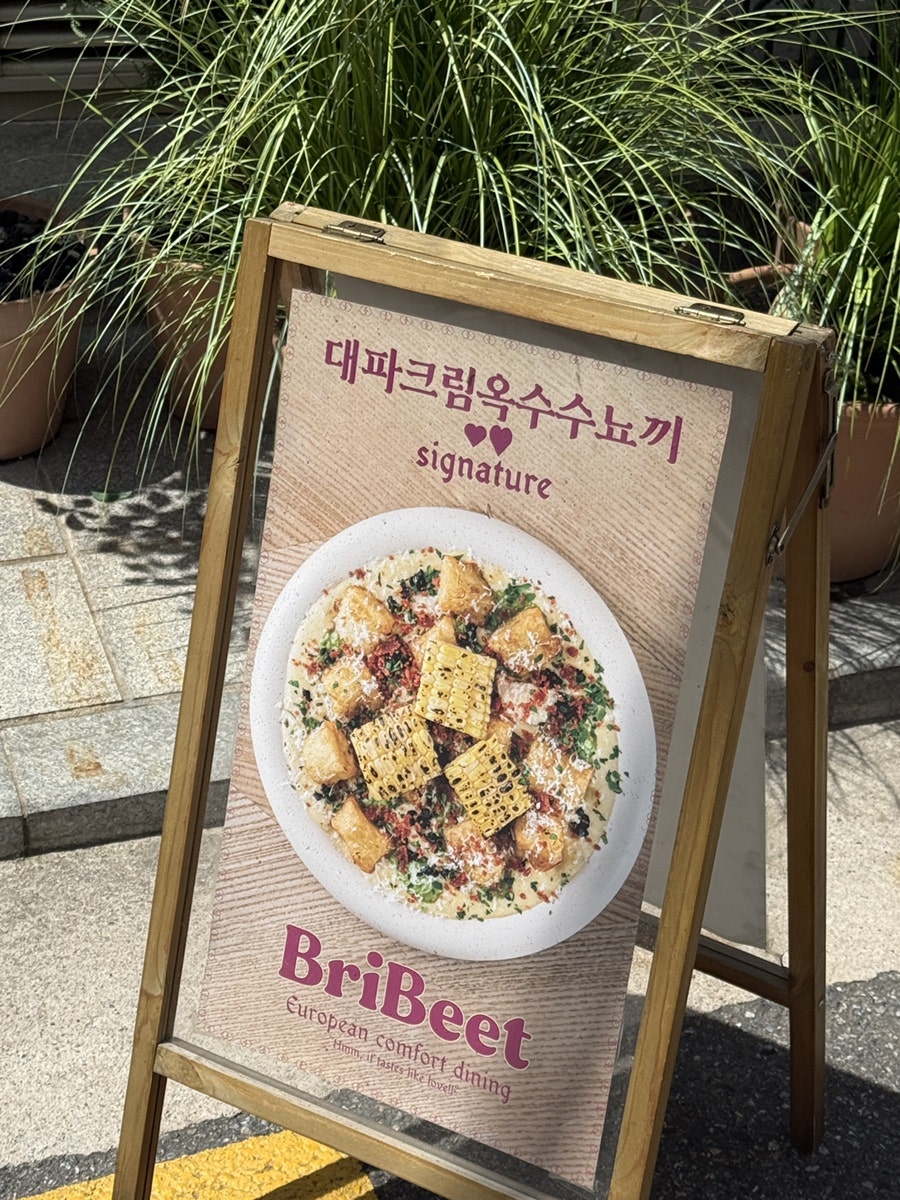 브리비트 사진 4