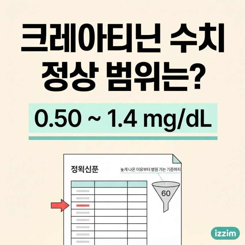 크레아티닌 수치 정상 범위부터 높게 나온 이유까지 총정리