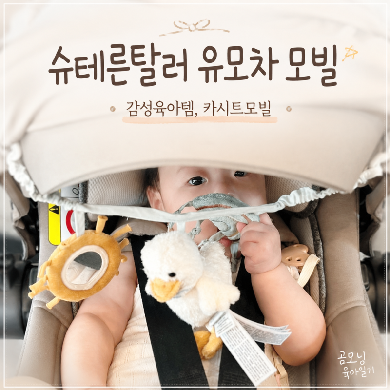 아기가 좋아하는 감성 육아템 카시트 유모차모빌 추천