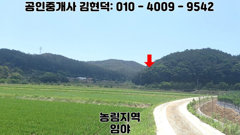 산골 사진 3