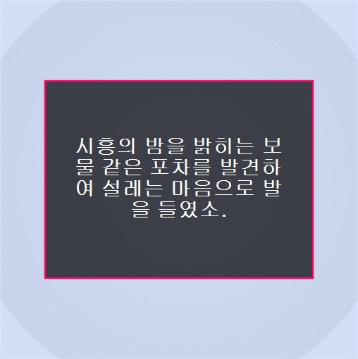 달빛포차 사진 1