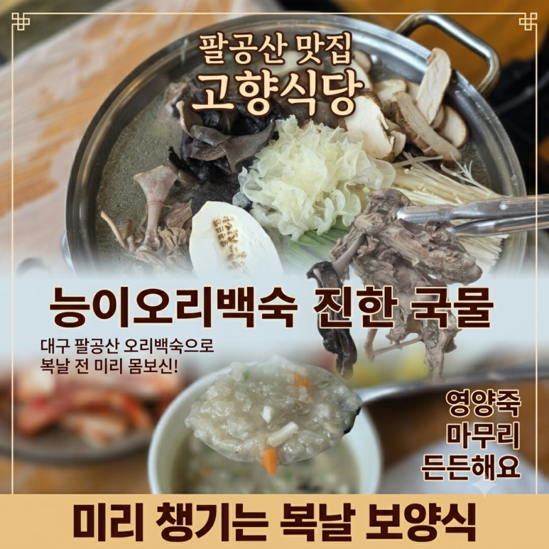 대구 동구 맛집 팔공산 고향식당 능이오리백숙 몸보신 추천
