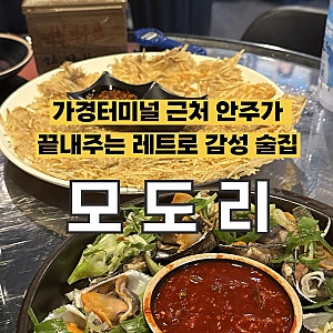 [청주] 가경동 터미널 근처 안주가 끝내주는 레트로 감성 술집, 가성비 맛집 '모도리' 솔직후....
