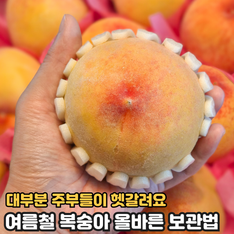 주부들이 대부분 헷갈리는 여름철 복숭아 보관법