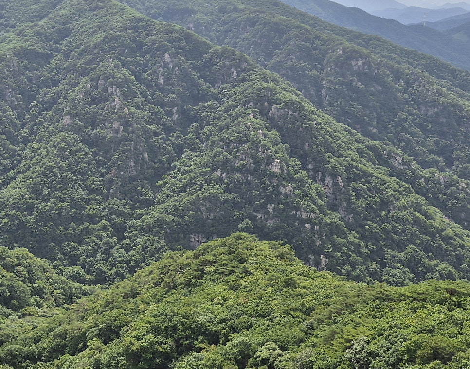Yetnalyetjeok photo 5