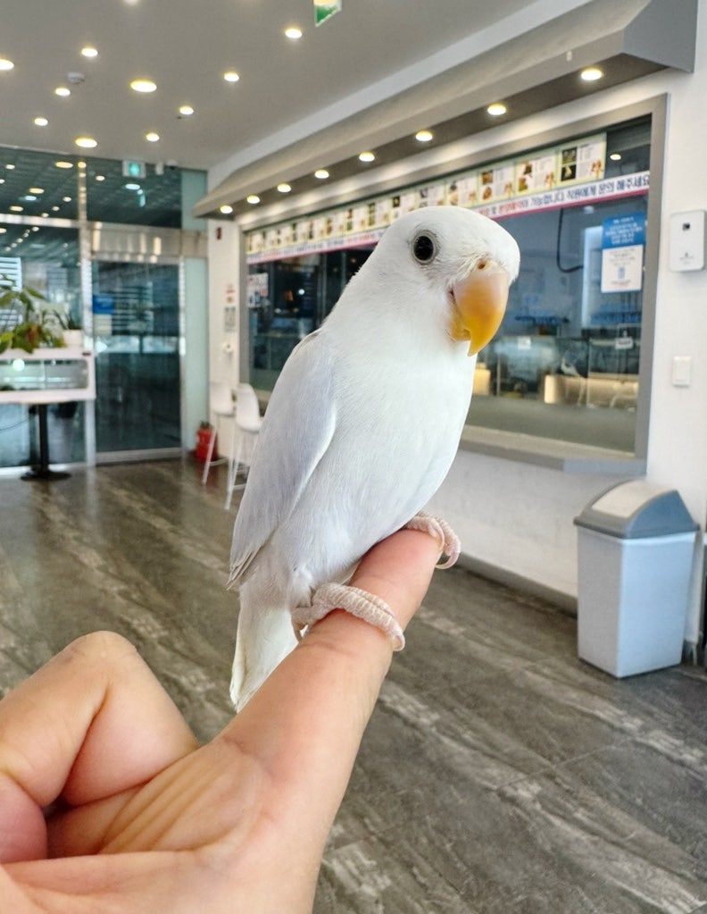 버드리 대전점 사진 1