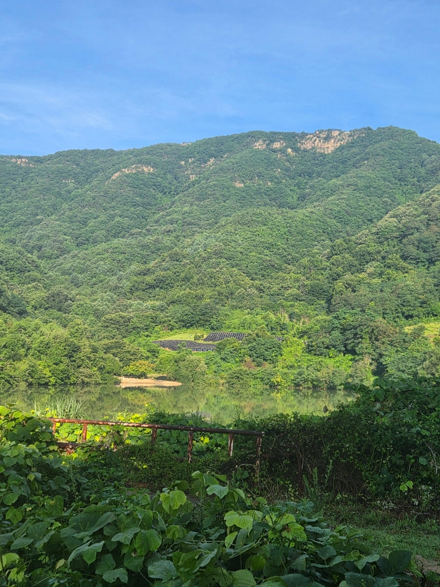 진악산 사진 4