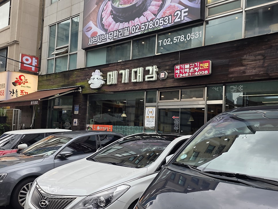 메기대감 사진 5
