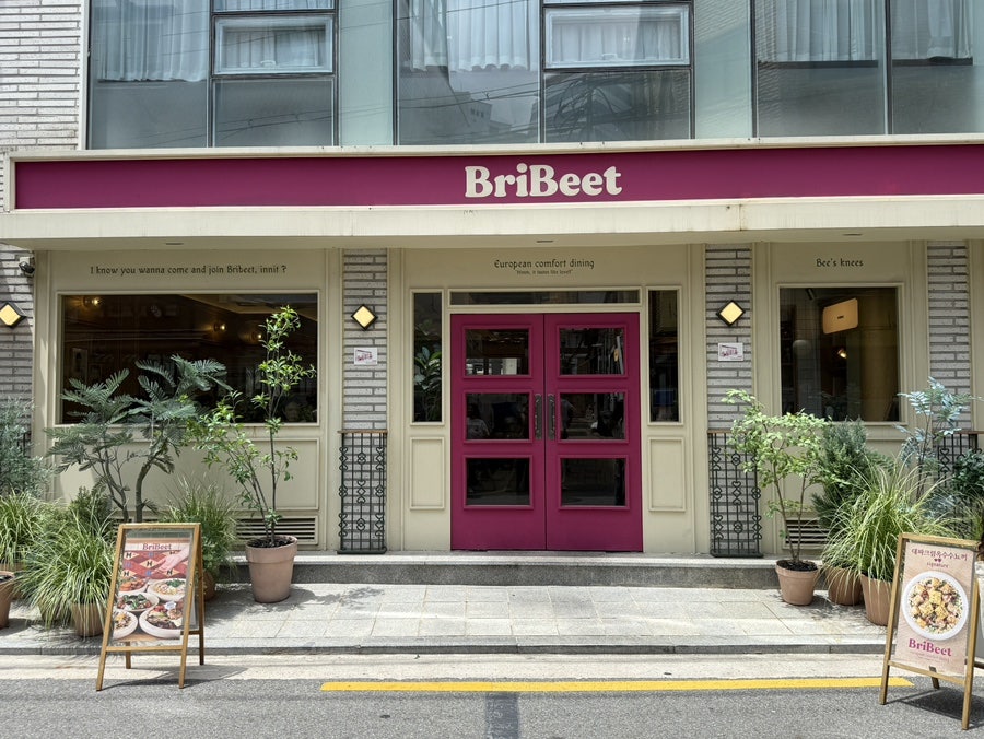 브리비트 사진 3